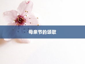 霸气的四个字战队名字，力量与荣耀的象征